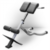 Valor Fitness Equipment Back Extension