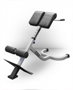 Valor Fitness Equipment Back Extension