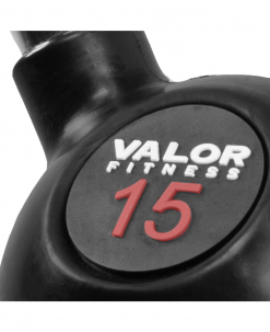 Valor Fitness Chrome Kettlebell