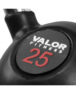 Valor Fitness Chrome Kettlebell Equipment