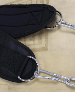 Xtreme Monkey Commercial Dip Belt Equipment