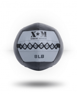 Xtreme Monkey Commercial Wall Ball Equipment