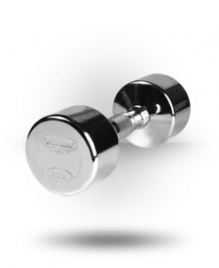 York Barbell Professional Chrome Dumbbell With Ergo Grip Equipment