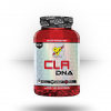 BSN CLA DNA Supplements 2 BSN CLA DNA Supplements
