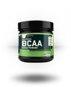 Optimum Nutrition Supplements Instantized BCAA 5000 Powder