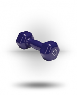 Body-Solid Vinyl Dumbbell Equipment
