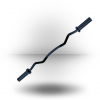 Body-Solid Equipment Olympic Curl Bar