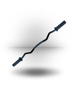 Body-Solid Equipment Olympic Curl Bar