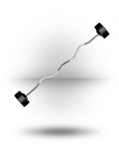 York Barbell Equipment Rubber Fixed Pro Curl Barbell