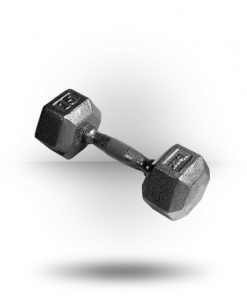 York Barbell Pro Hex Dumbbell With Cast Ergo Handle Equipment