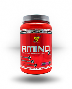 BSN Amino X Supplements