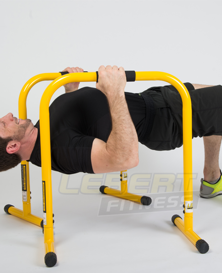 Lebert Fitness Equipment Equalizer 10 Lebert Fitness Equipment Equalizer