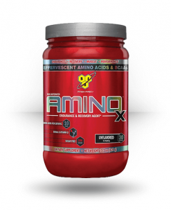 BSN Amino X Supplements