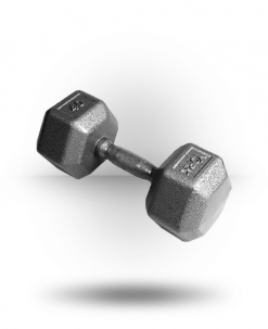 York Barbell Equipment Pro Hex Dumbbell With Cast Ergo Handle