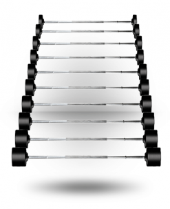 York Barbell Equipment Rubber Fixed Pro Straight Barbell Set