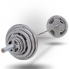 Body-Solid Steel Grip Olympic Plate