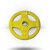 Body-Solid Rubber Grip Olympic Plate (Colored) Equipment