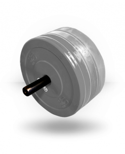 Body-Solid Weight Plate Horn