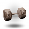 Body-Solid Hex Dumbbell
