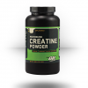 Optimum Nutrition Micronized Creatine Powder Supplements