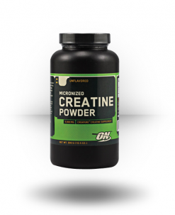 Optimum Nutrition Micronized Creatine Powder Supplements