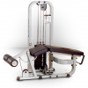 Body-Solid Equipment ProClubline Leg Curl