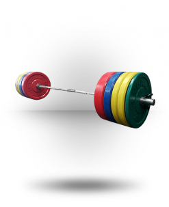 York Barbell Solid Rubber Training Color Bumper Plate Set Equipment