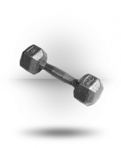 York Barbell Equipment Pro Hex Dumbbell With Cast Ergo Handle