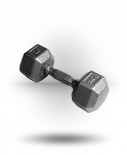 York Barbell Equipment Pro Hex Dumbbell With Cast Ergo Handle