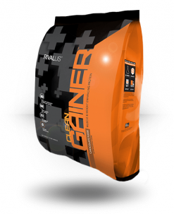Rivalus Clean Gainer