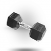 York Barbell Rubber Hex Dumbbell With Chrome Ergo Handle Equipment