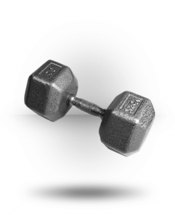 York Barbell Equipment Pro Hex Dumbbell With Cast Ergo Handle