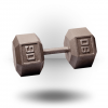 Body-Solid Hex Dumbbell