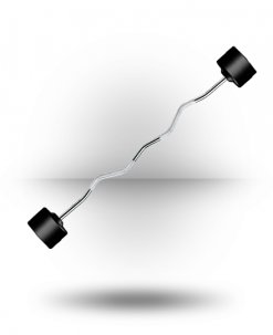 York Barbell Rubber Fixed Pro Curl Barbell Equipment