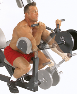 Body-Solid Equipment Freeweight Leverage Gym Package