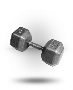 York Barbell Equipment Pro Hex Dumbbell With Cast Ergo Handle