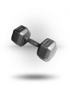 York Barbell Pro Hex Dumbbell With Cast Ergo Handle