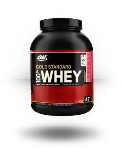 Optimum Nutrition Gold Standard 100% Whey