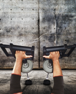 Black Widow Righteous Handles Equipment