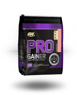 Optimum Nutrition Pro Gainer
