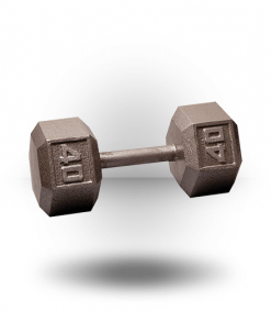Body-Solid Equipment Hex Dumbbell