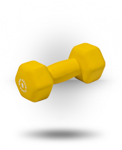 Body-Solid Neoprene Dumbbell Equipment