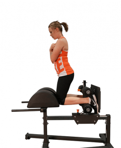 Torque Fitness Glute Ham Developer