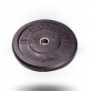 Body-Solid Premium Rubber Bumper Plate