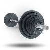 Body-Solid Olympic Weight Set