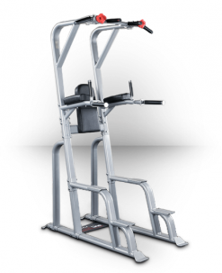 Body-Solid ProClubline Vertical Knee Raise