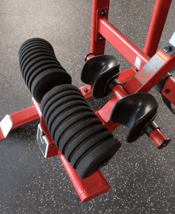 Body-Solid Inversion Table