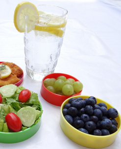 Food + Nutrition PortionMate