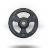 York Barbell Iso-Grip Urethane Encased Olympic Plate