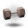 Body-Solid Equipment Hex Dumbbell